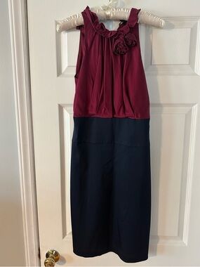 BCBGMaxAzria Women’s Sleeveless Dress